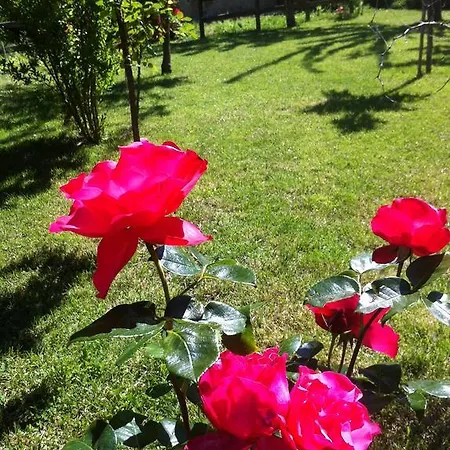 Giardino Della Luna 公寓 *