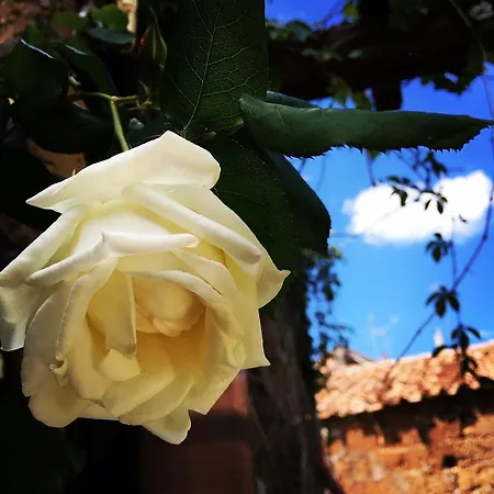 Giardino Della Luna Appartamento *